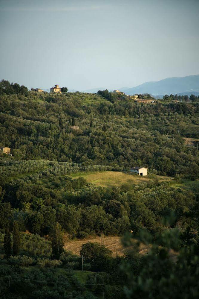 Agriturismo Le Colombe Asís Exterior foto